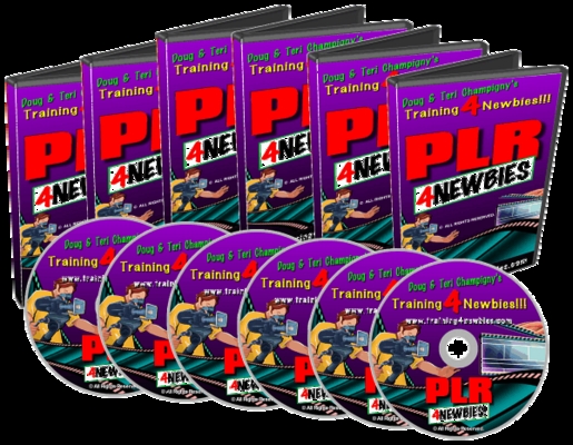 Product picture PLR for Newbies Videos - How To Make More Money 
